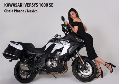 CEM_7698